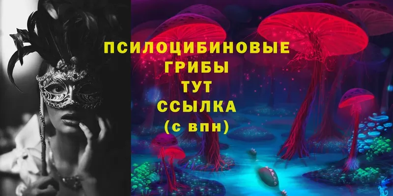 Псилоцибиновые грибы Cubensis  где можно купить наркотик  Алдан 